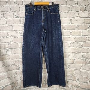 Urban Outfitters BDG Wide Leg Jeans High Waist Dark Wash Size 29 Skater